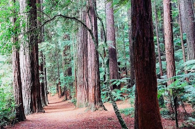 Rotorua & Taupo DayTour with Waiotapu & Huka Falls from Auckland - Who should book this North Island day tour?