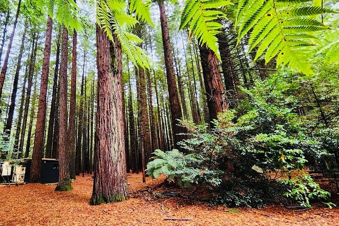 Rotorua & Taupo DayTour with Waiotapu & Huka Falls from Auckland - Huka Falls: Thirty minutes of serious water