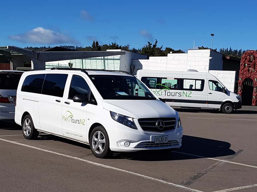 Rotorua to Auckland - Afternoon Transfer with Waitomo Caves - Key points to know before booking