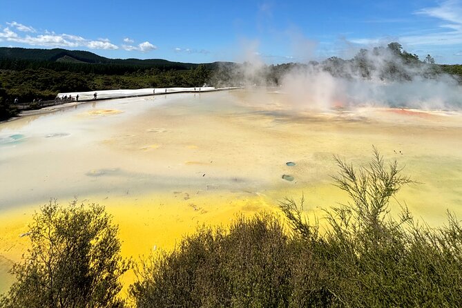 Rotorua: WaiOtapu & Redwood forest & Blues springs from Auckland - Rotorua town gives the day breathing room