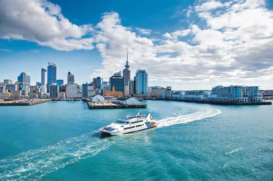 Sea, Land & Sky Premium Package - Using the Explorer bus around Waiheke