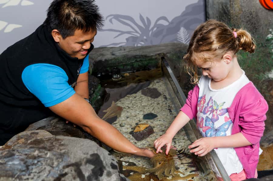 Sea Life Kelly Tarlton's Aquarium General Admission - Who should book SEA LIFE Kelly Tarlton’s?