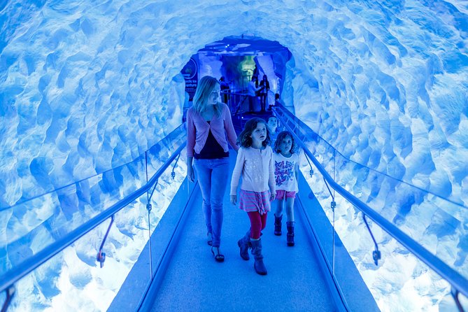 SEA LIFE Kelly Tarlton's General Admission - Is the $24.20 price good value?