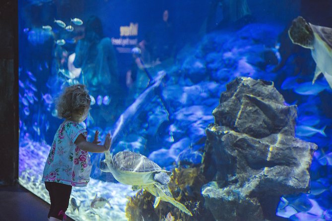 SEA LIFE Kelly Tarlton's General Admission - How long you really need