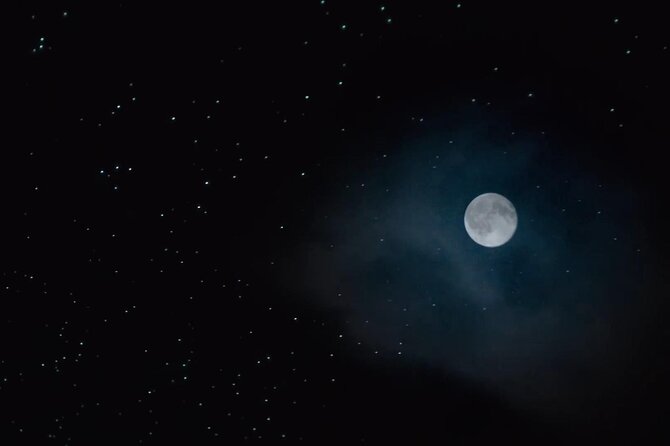 See Auckland's Secret Glow Worms - Why the private format matters