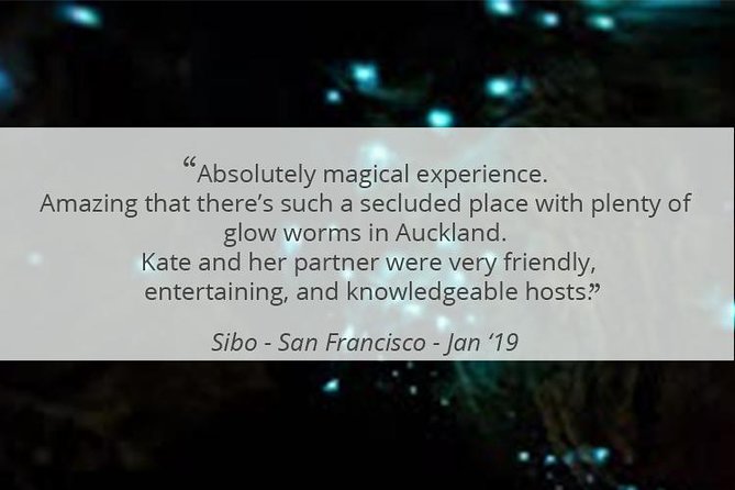 See Auckland's Secret Glow Worms - Price and what the $77.57 covers