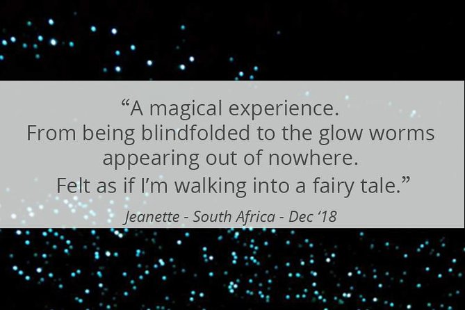 See Auckland's Secret Glow Worms - What to bring and how to prepare