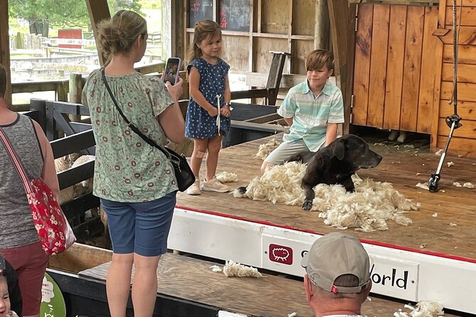 Sheep World Country Tour from Auckland - Guides who shape the day