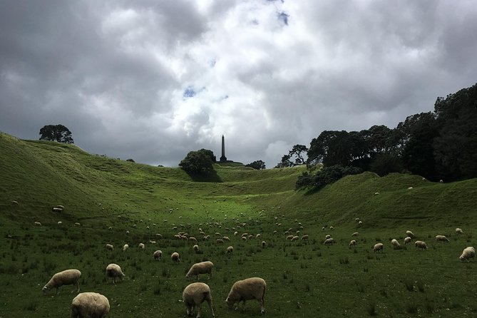 Shore Excursion: Half-Day Auckland Volcanoes Tour - Mangere Mountain adds Maori and harbor history