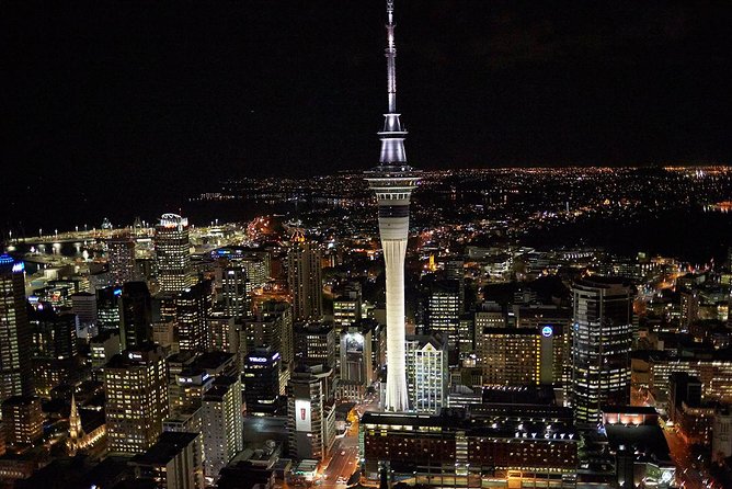 Shore Excursion: Half-Day Auckland Volcanoes Tour - Mount Eden finishes with Auckland’s best overview