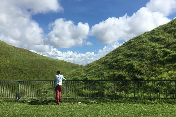 Shore Excursion: Half-Day Auckland Volcanoes Tour - Guide Mike makes the difference