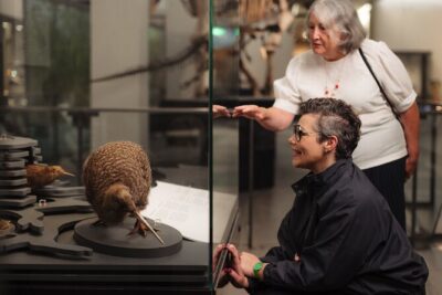 Skip the Line: Auckland Museum General Admission Ticket