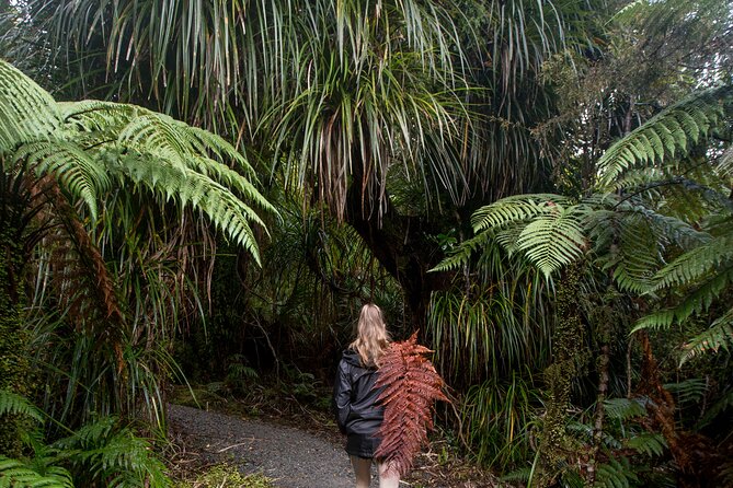 Small Group Northern Voyager 7 Days Tour - Day 5: Taupo for big thrills or a serious walk