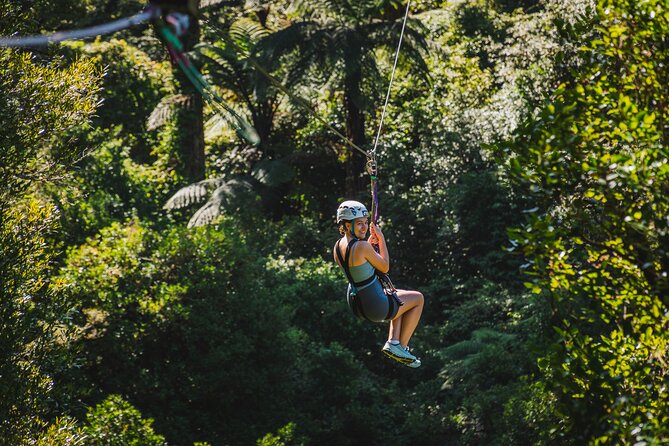 Small Group Northern Voyager 7 Days Tour - Day 3: Your free-choice Rotorua day
