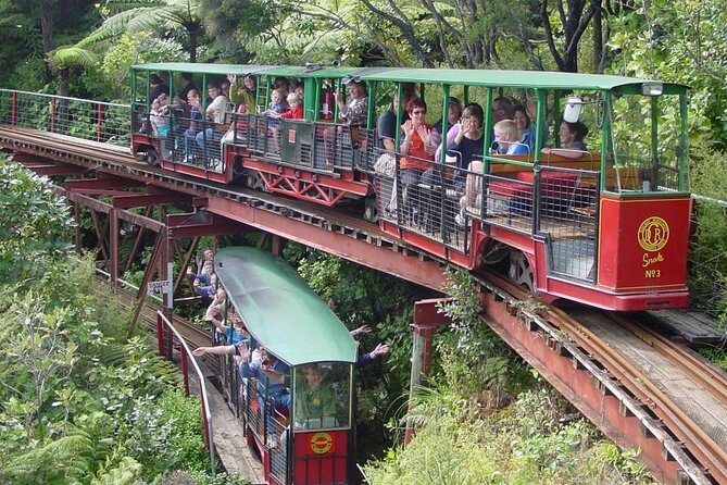 [Stevong Travel] West Coromandel Day Tour - Why this West Coromandel day works from Auckland