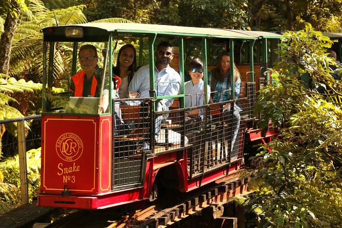 [Stevong Travel] West Coromandel Day Tour - Two hours at the Thames Goldmine Experience