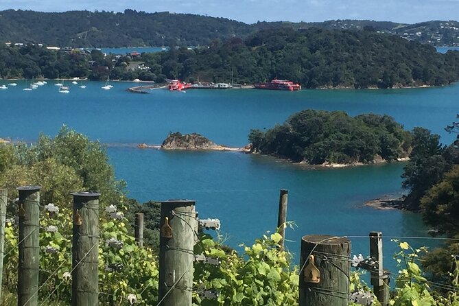 The Boutique Experience: Waiheke Best Cellar Tour (11 guests max) - Key points to know before you book