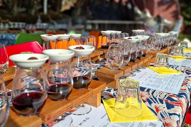 The Boutique Experience: Waiheke Best Cellar Tour (11 guests max) - Who should book this tour