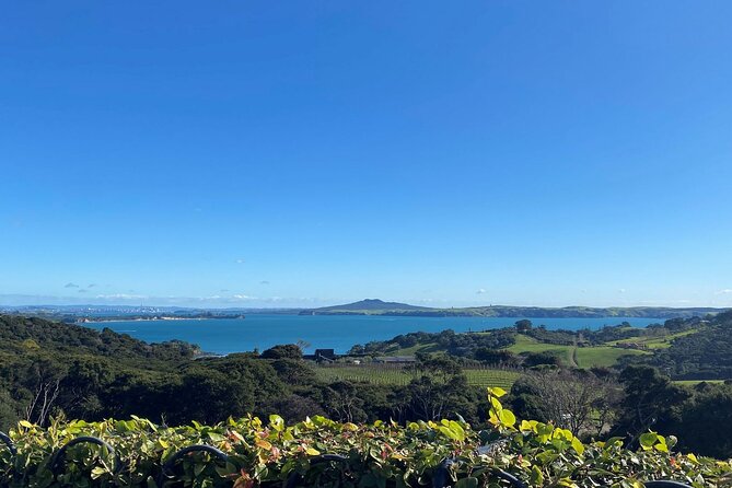 The Essence of Waiheke Wine Tour - What the tasting format gives you