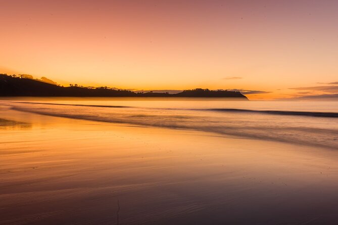 The Essence of Waiheke Wine Tour - Scenic lookouts, beaches, and the road between stops