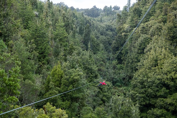 The Ultimate Canopy Zipline Experience Private Tour From Auckland - Why this is more than a standard zipline ride
