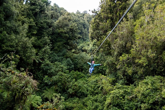 The Ultimate Canopy Zipline Experience Private Tour From Auckland - A course for active beginners and confident adventurers