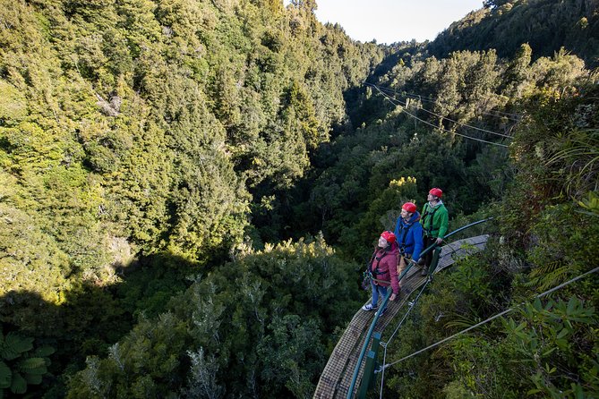 The Ultimate Canopy Zipline Experience Private Tour From Auckland - Bombay Hills, coffee, and the road to Rotorua