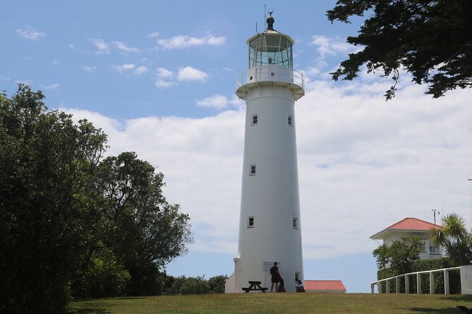 Tiritiri Matangi Island Discovery - from Auckland - Booking Details and Afternoon Return