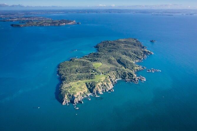 Tiritiri Matangi Island Discovery - from Auckland - Finding Takahe, Kōkako, and Tīeke