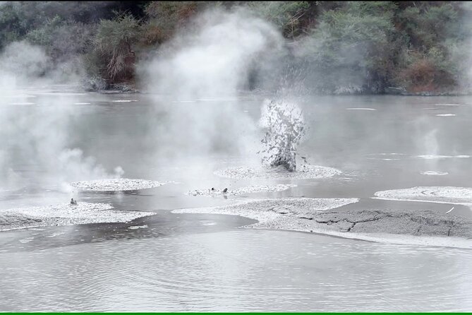 TRIPLE DEAL Wai-O-Tapu, Redwood Forest & Blue Springs Ex Auckland - Blue Spring and the Te Waihou waters