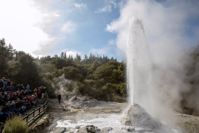 TRIPLE DEAL Wai-O-Tapu, Redwood Forest & Blue Springs Ex Auckland - What $204.17 buys you