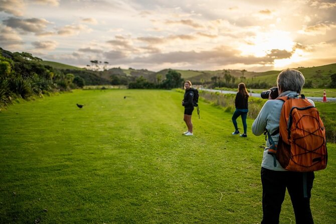 Twilight Wild Kiwi Bird Encounter Private Tour - The 5:00 pm pickup and drive north from Auckland