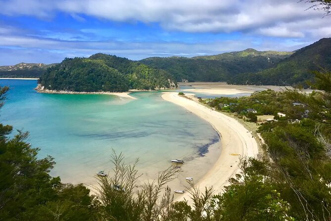 Twilight Wild Kiwi Bird Encounter Private Tour - What the guide adds to the evening