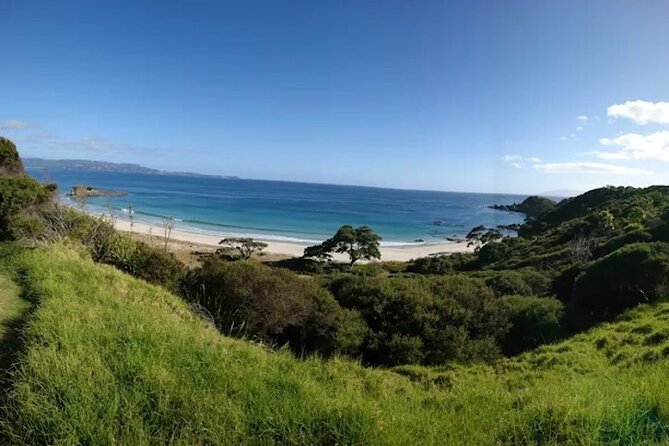 Twilight Wild Kiwi Bird Encounter Private Tour - Comfort touches that matter after sunset