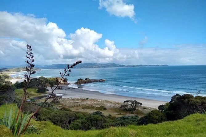 Twilight Wild Kiwi Bird Encounter Private Tour - Who should book this evening