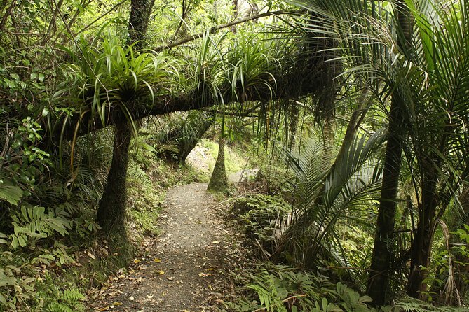 Ultimate Auckland Experience Full Day Tour with Brewery Lunch - Mount Eden puts Auckland below your feet