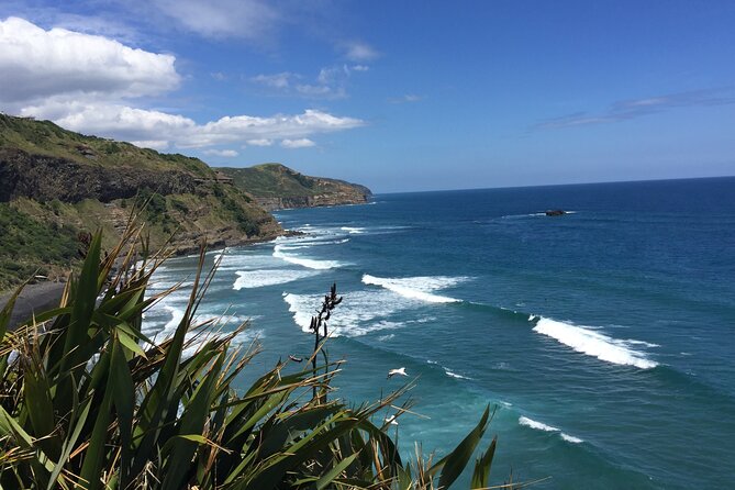 Vineyards Honey and Black Sand Beaches from Auckland - Three wineries and a black-sand coast in six hours