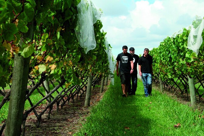 Vineyards Honey and Black Sand Beaches from Auckland - Who should book this tour?