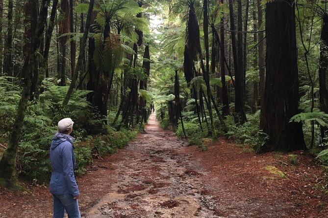Volcanic Rotorua Day Trip from Auckland - Lake Rotorua and the Government Gardens