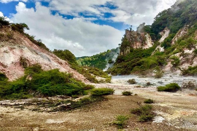 Volcanic Rotorua Day Trip from Auckland - What makes the small van useful