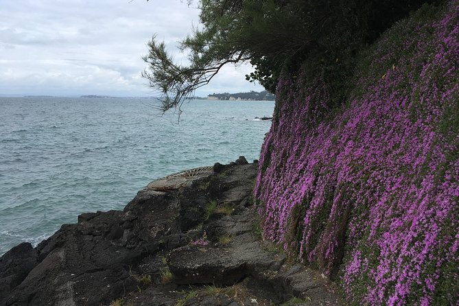 Volcanoes, Coasts, and Secret Spots Afternoon Tour in Auckland - North Head’s tunnels and military past