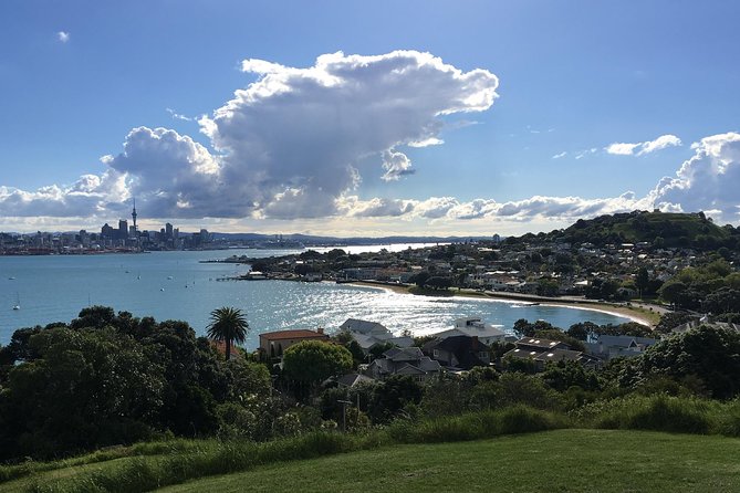 Volcanoes, Coasts, and Secret Spots Afternoon Tour in Auckland - Is the $99.29 price good value?
