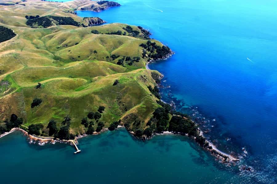 Waiheke Island: 30-Minute Scenic Flight - From Waiheke Wings to the shoreline