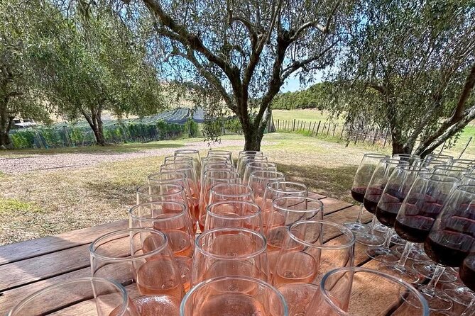 Waiheke Island: Afternoon Wine Affair with Ocean Front Lunch - What the $201.69 price really includes