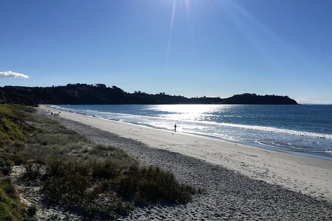 Waiheke Island Bush & Beach Walk - Why Waiheke works so well for a half-day walk