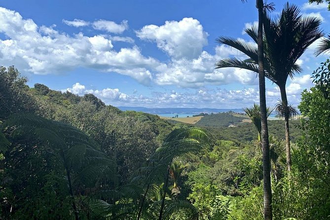Waiheke Island Bush & Beach Walk - Preparing for changing island weather