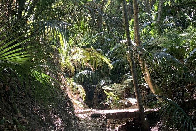 Waiheke Island Bush & Beach Walk - Who will get the most from this experience