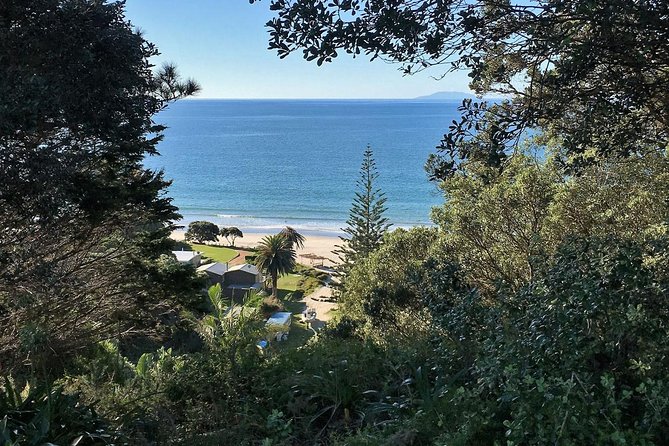 Waiheke Island Bush & Beach Walk - Booking timing, cancellation, and practical details