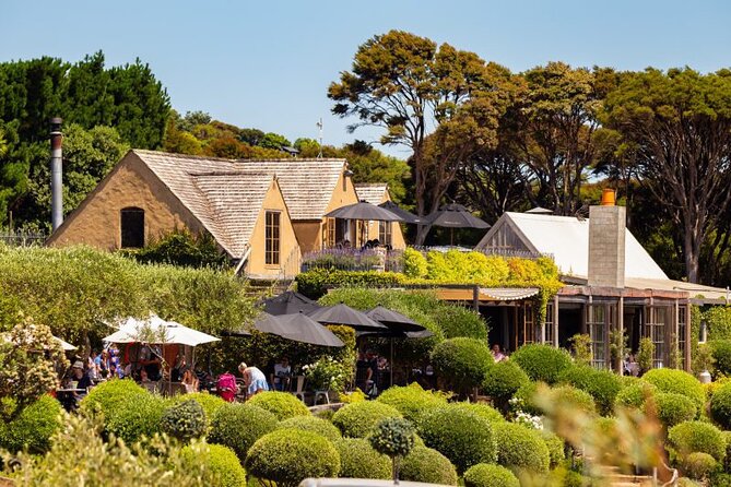 Waiheke Island Day Tour: Ziplining, Wine Tasting & Vineyard Lunch - Why this Waiheke combination works