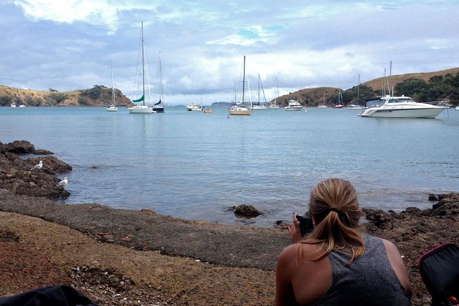 Waiheke Island Double Headland Coastal Walk - Returning to Matiatia or your accommodation